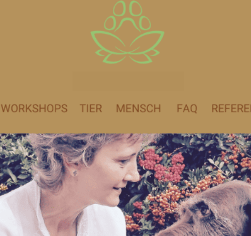 Projekt: Neue Website für Ines – wenn Energie, Farben und Technik zusammenfinden